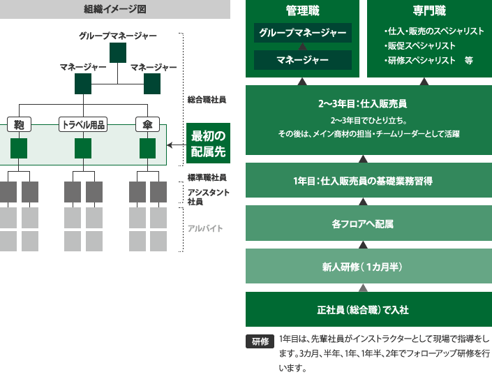 正社員 キャリアフローイメージ