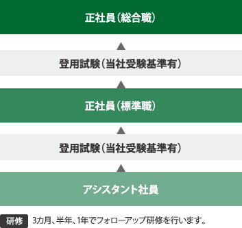 アシスタント社員（契約社員） キャリアフローイメージ